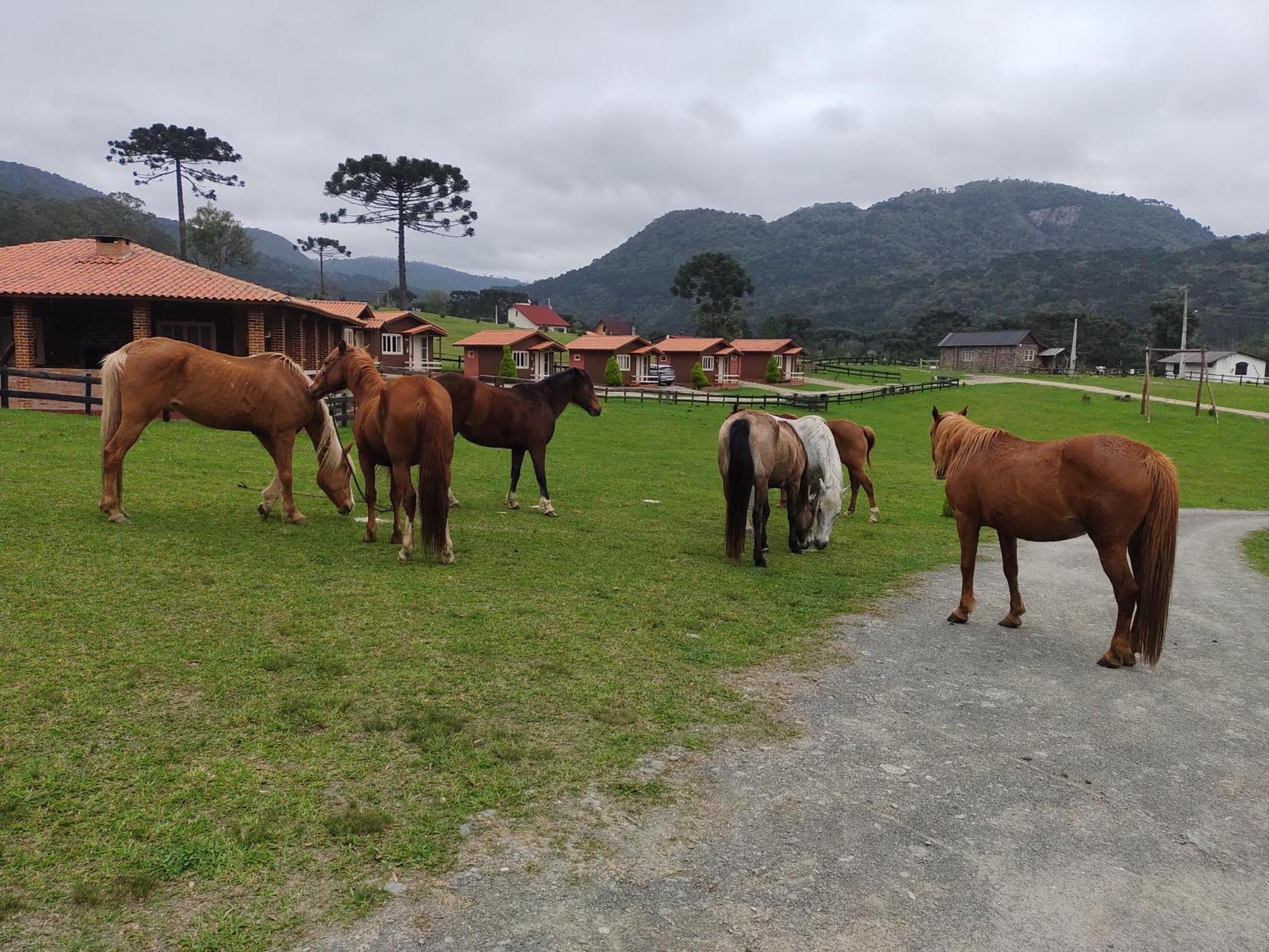 Sitio Rancho Crioulo 호텔 우루비시 외부 사진