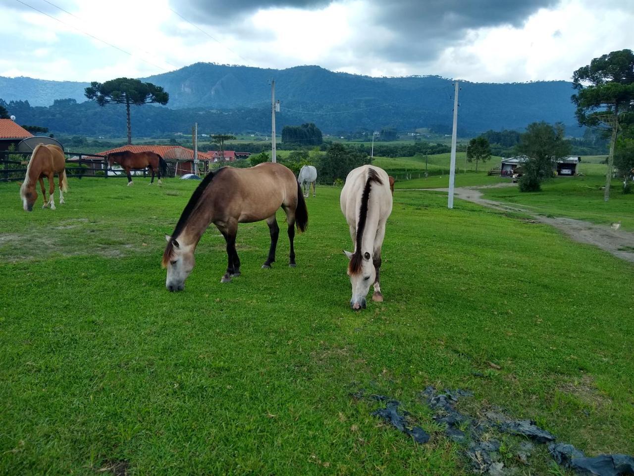 Sitio Rancho Crioulo 호텔 우루비시 외부 사진