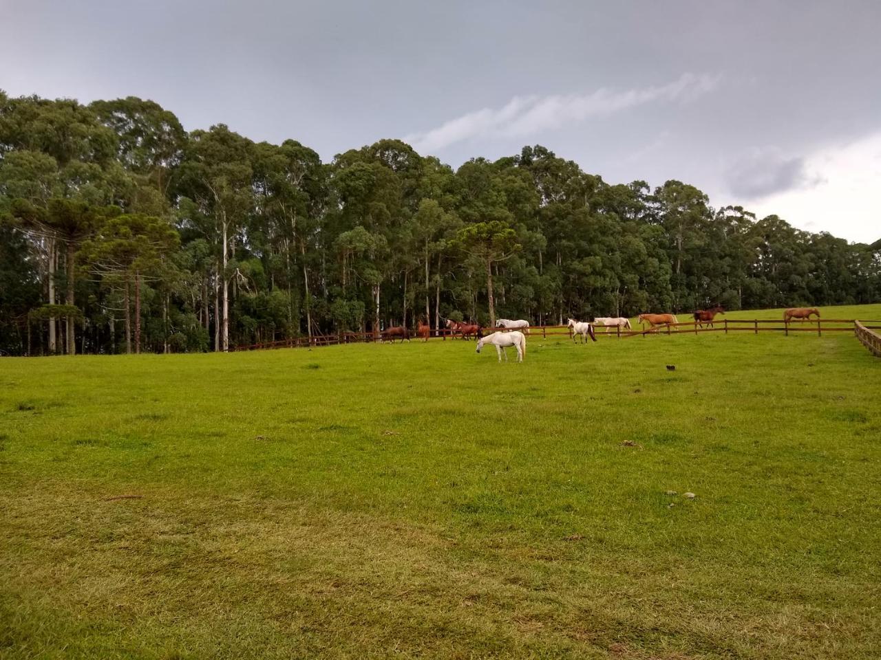 Sitio Rancho Crioulo 호텔 우루비시 외부 사진